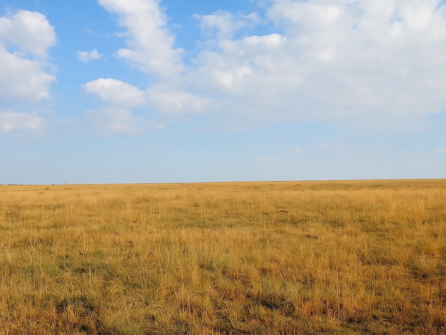  Bedroom Property for Sale in Bloemfontein Rural Free State